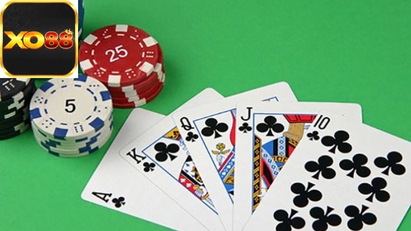 Chiến Lược và Tâm Lý Trong Chơi Xì Tố